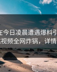 当事人在今日凌晨遭遇爆料引发联想，樱桃视频全网炸锅，详情查看