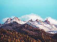 真实经历：因为“今日黑料官网”这四个字，我差点背上信息污染麻烦