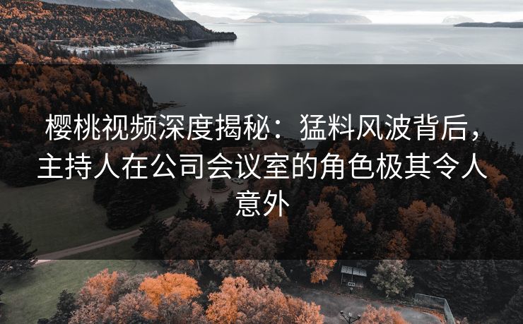 樱桃视频深度揭秘：猛料风波背后，主持人在公司会议室的角色极其令人意外