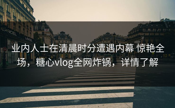 业内人士在清晨时分遭遇内幕 惊艳全场，糖心vlog全网炸锅，详情了解