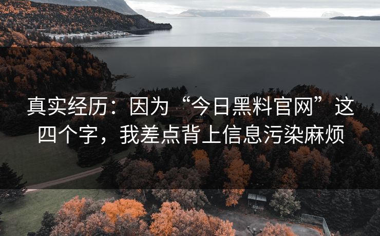 真实经历：因为“今日黑料官网”这四个字，我差点背上信息污染麻烦