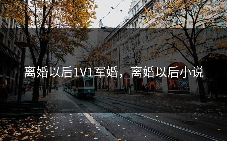 离婚以后1V1军婚，离婚以后小说