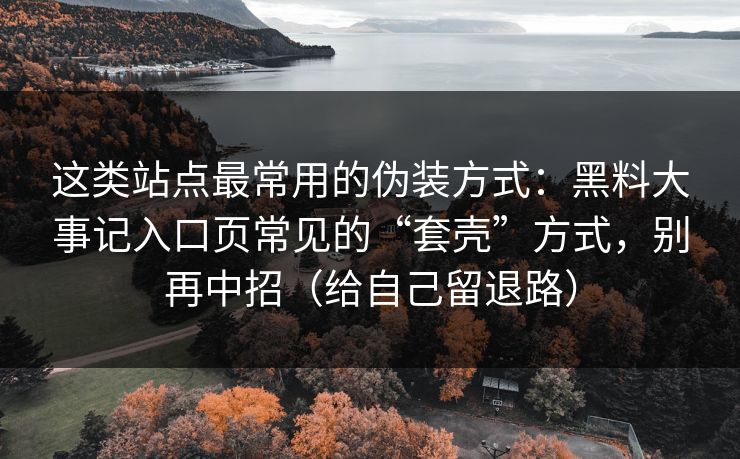 这类站点最常用的伪装方式：黑料大事记入口页常见的“套壳”方式，别再中招（给自己留退路）